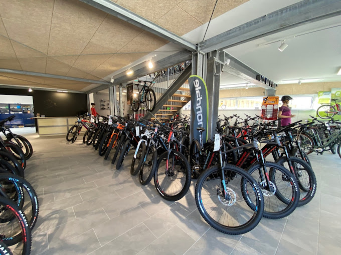 Verkaufsraum eines Fahrradgeschäftes mit ausgestellten Fahrrädern verschiedener Modelle. Heller Raum mit grauem Bodenbelag.
